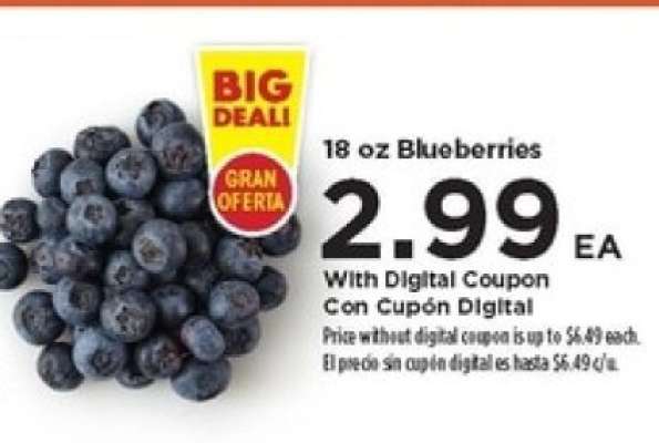 18 oz Blueberries