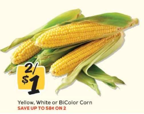 Corn