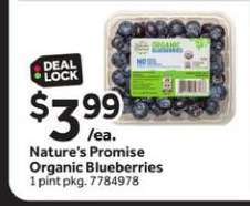 Nature’s Promise Organic Blueberries
