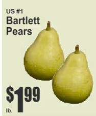 Bartlett Pears