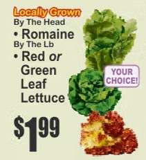 Locally Grown Lettuce