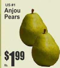 Anjou Pears