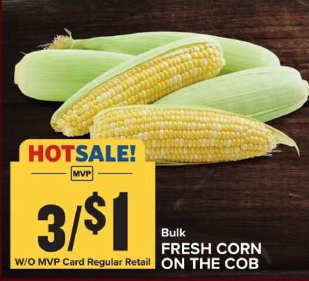 FRESH CORN ON THE COB