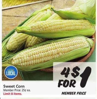 Sweet Corn