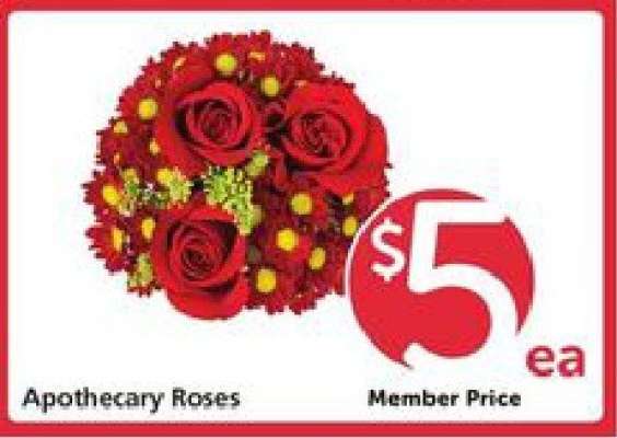 Apothecary Roses