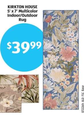 KIRKTON HOUSE 5' x 7' Multicolor Indoor/Outdoor Rug