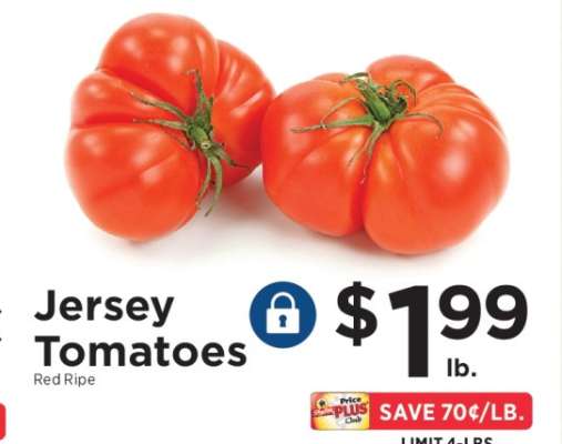 Jersey Tomatoes