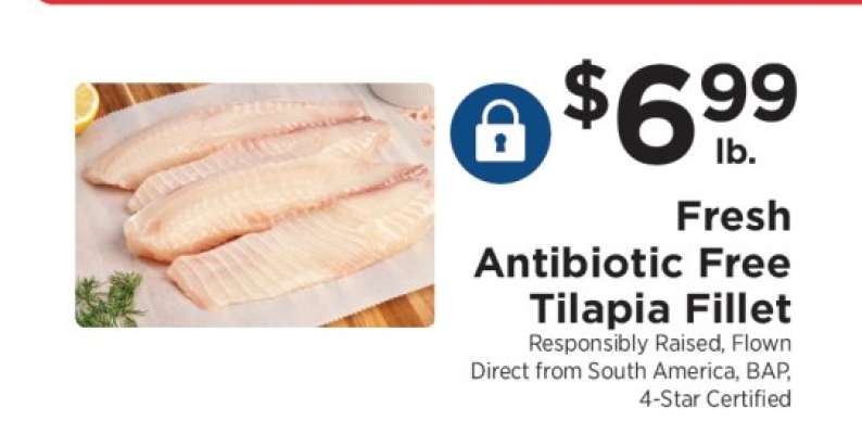 Fresh Antibiotic Free Tilapia Fillet