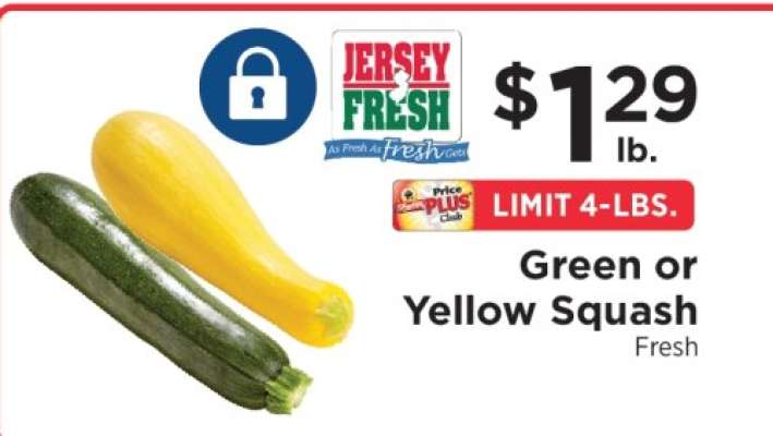Green or Yellow Squash