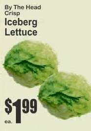 Iceberg Lettuce