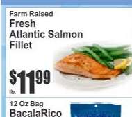 Fresh Atlantic Salmon Fillet