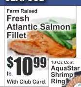 Fresh Atlantic Salmon Fillet