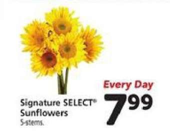 Signature SELECT Sunflowers