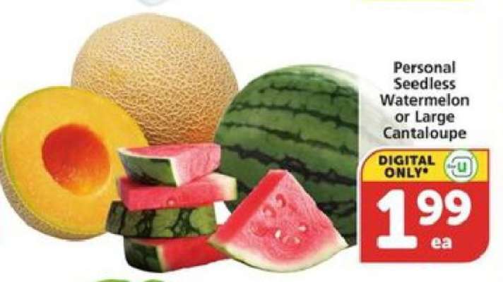Personal Seedless Watermelon or Large Cantaloupe