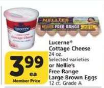 Lucerne Cottage Cheese or Nellie's Free Range Large Brown Eggs