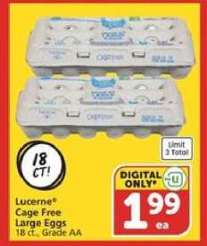 Lucerne Cage Free Large Eggs