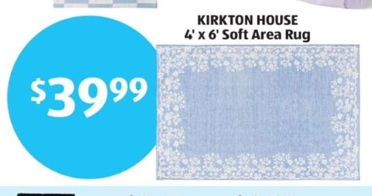 KIRKTON HOUSE 4' x 6' Soft Area Rug