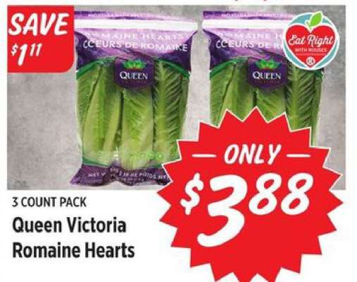 Queen Victoria Romaine Hearts