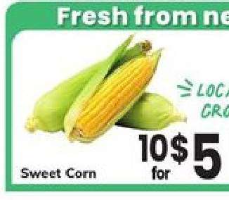 Sweet Corn
