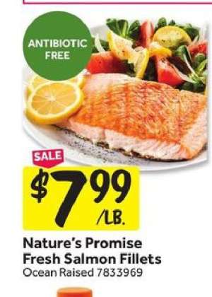 Nature's Promise Fresh Salmon Fillets