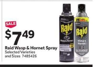 Raid Wasp & Hornet Spray