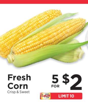 Fresh Corn