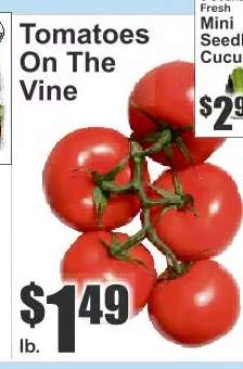 Tomatoes on the Vine