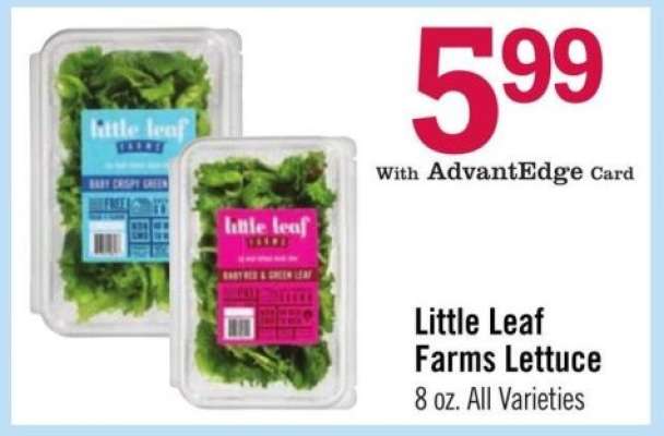 Little Leaf Farms Lettuce