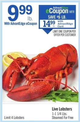 Live Lobsters