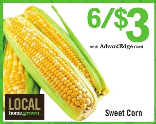 Sweet Corn
