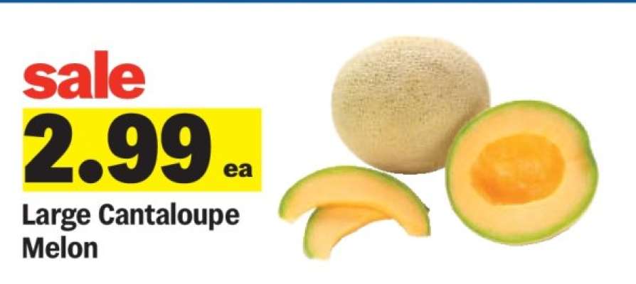 Large Cantaloupe Melon