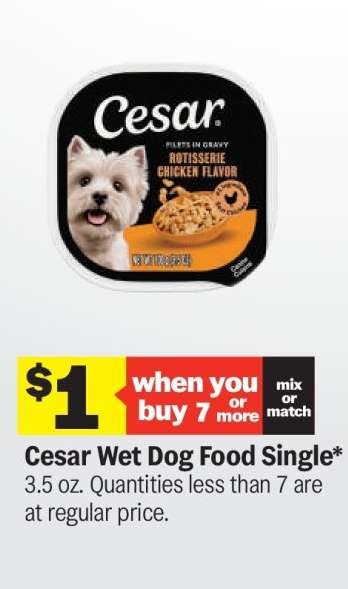 Cesar Wet Dog Food Single