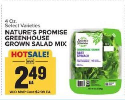 Nature's Promise Greenhouse Grown Salad Mix