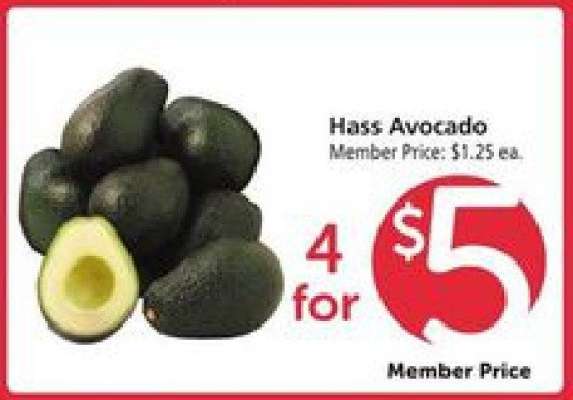 Hass Avocado