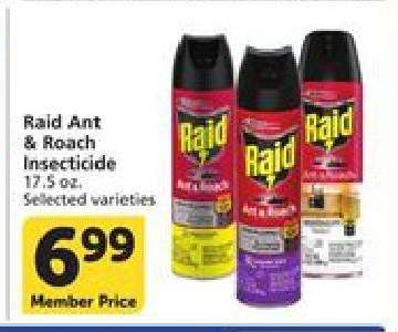 Raid Ant & Roach Insecticide
