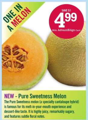 Pure Sweetness Melon