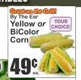 Yellow or BiColor Corn