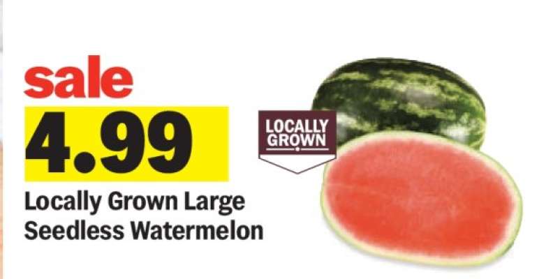 Locally Grown Large Seedless Watermelon