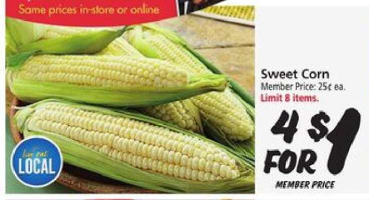 Sweet Corn