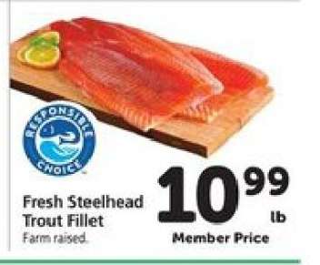 Fresh Steelhead Trout Fillet