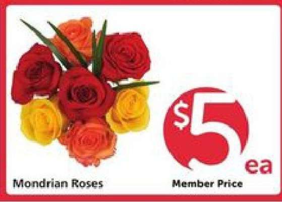 Mondrian Roses