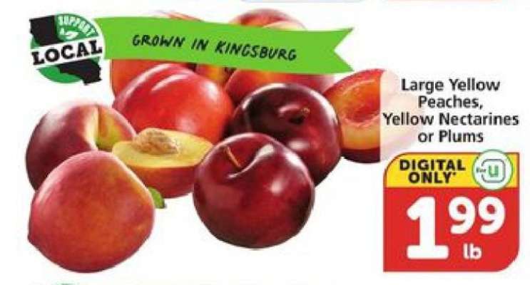 Large Yellow Peaches, Yellow Nectarines or Plums