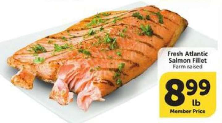 Fresh Atlantic Salmon Fillet