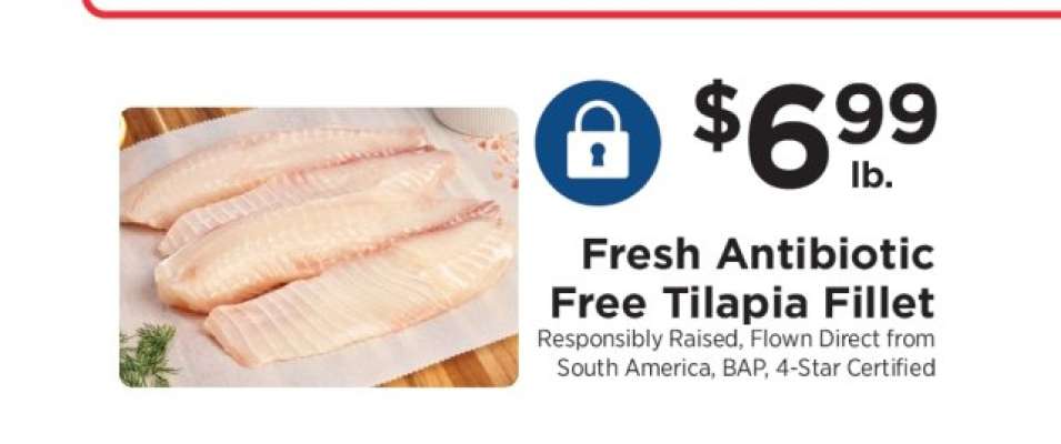 Fresh Antibiotic Free Tilapia Fillet