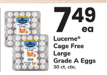 Lucerne Cage Free Large Grade A Eggs
