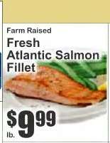 Fresh Atlantic Salmon Fillet
