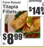 Tilapia Fillets