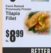 Tilapia Fillet
