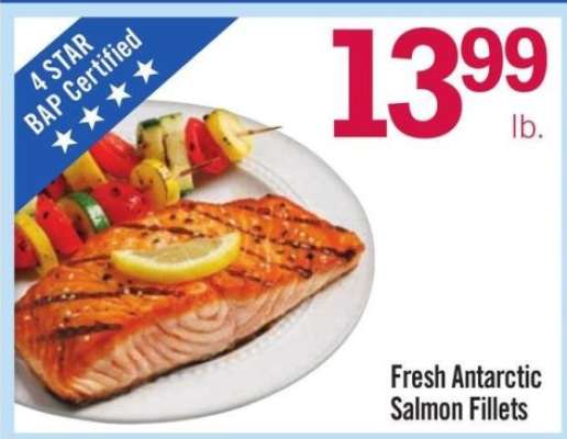Fresh Antarctic Salmon Fillets