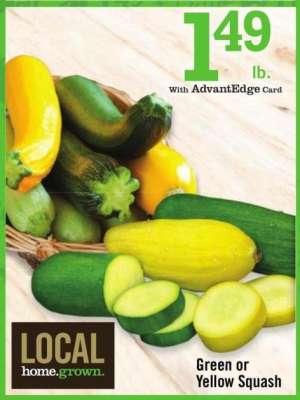 Green or Yellow Squash